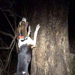 Meet your Posher, Allan